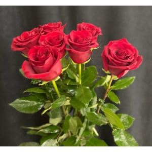Купить красную розу с доставкой в Москве