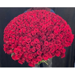 Купить охапку из 351 роз с доставкой в Москве