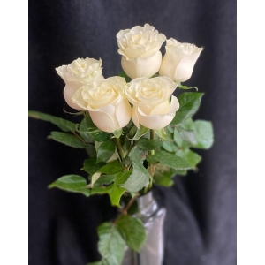 Купить белую розу с доставкой в Москве