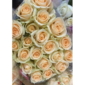 Бежевые розы 60 см со скидкой