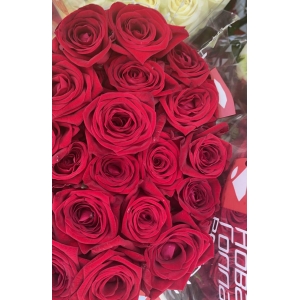 Красные розы 60 см со скидкой